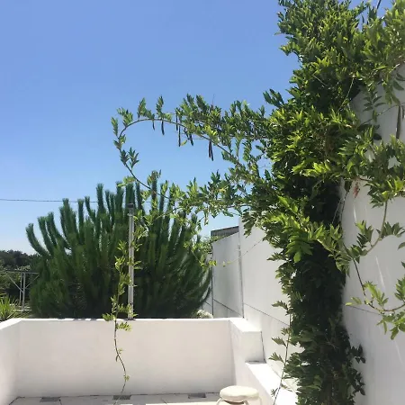 Apartman Pool